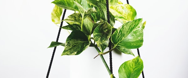 2026世界杯三大主办国联合新闻发布会现场 - 美国、加拿大、墨西哥足协官员合影